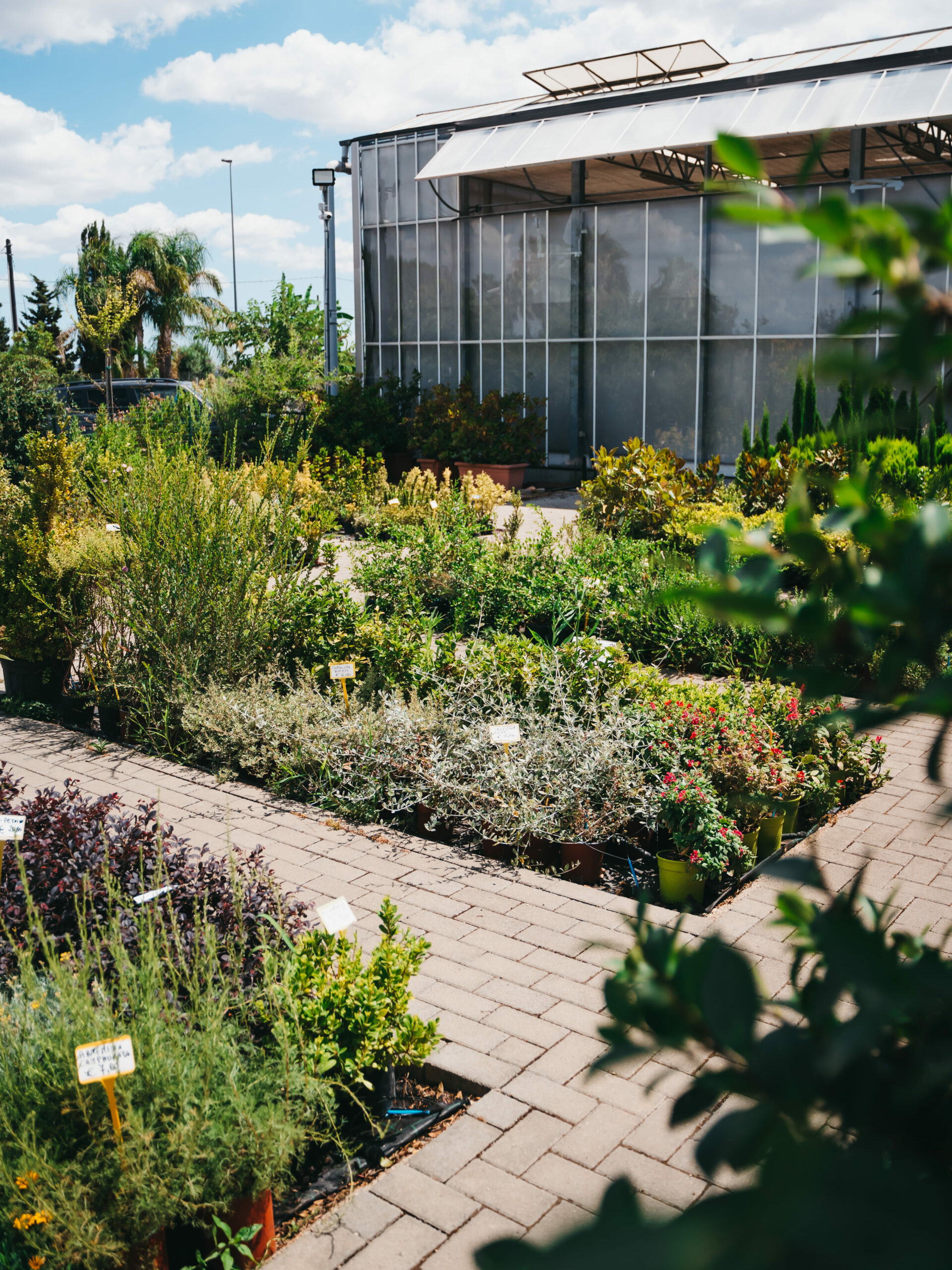 giardini clima adattivi