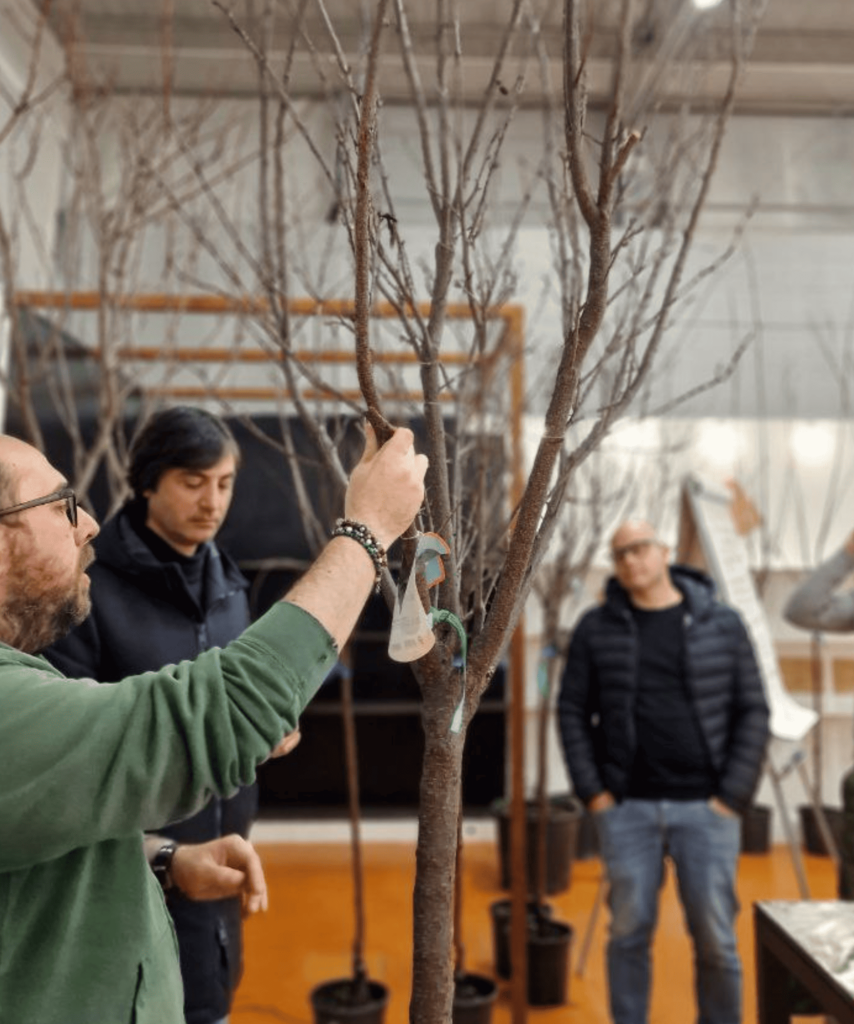 Corso sulla Potaturo degli Alberi da Frutto